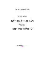 Giáo trình Kỹ thuật cơ bản trong sinh học phân tử