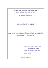 Luận văn Chế tạo hạt nanô Fe3O4 và khảo sát một số tính chất đặc trưng