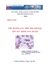 Tiểu luận Ảnh hưởng của biến đổi khí hậu - Sự ứng phó và thích nghi ở Bến Tre