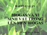 Tiểu luận Biogas và vi sinh vật trong lên men biogas