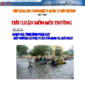 Tiểu luận Đánh giá tình hình ngập lụt môi trường đô thị tp Hồ Chí Minh và giải pháp