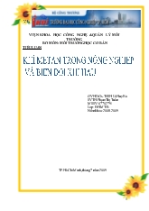 Tiểu luận Khí mêtan trong nông nghiệp và biến đổi khí hậu