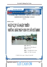 Tiểu luận Ngập lụt và ngập triều những giải pháp cho tp Hồ Chí Minh