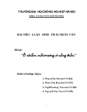 Tiểu luận Ô nhiễm môi trường ở nông thôn