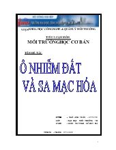 Tiểu luận Sa mạc hoá và ô nhiễm môi trường đất