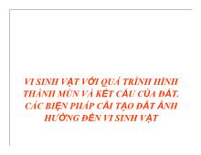 Vi sinh vật với quá trình hình thành mùn và kết cấu của đất, các biện pháp cải tạo đất ảnh hưởng đến vi sinh vật