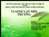 Bài Thuyết trình vi sinh môi trường