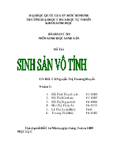 Báo cáo sinh học sinh sản vô tính