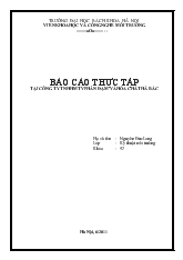 Báo cáo Thực tập tại công ty Trách nhiệm hữu hạn một thành viên phân đạm và hóa chất Hà Bắc