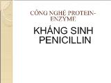 Đề tài Công nghệ protein- Enzyme kháng sinh penicillin