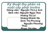 Đề tài Kỹ thuật thụ phấn và nuôi cấy phôi invitro