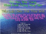 Đề tài Tìm hiểu hiện tượng tích luỹ và khuếch đại sinh học ở thuỷ sinh vật Cho ví dụ cụ thể hiện tượng này ở đồng bằng sông Cửu Long và phân tích