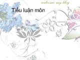 Đề tài Tính toán thiết kế hệ thống xử lý nước thải nhà máy sản xuất tinh bột công xuất 3000m3/ngày đêm