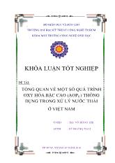 Khóa luận Tổng quan về một số quá trình oxy hóa bậc cao (aops ) thông dụng trong xử lý nước thải ở Việt Nam