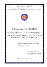Khóa luận Vấn đề ô nhiễm kim loại nặng trong đất và cây trồng tại một số khu vực ở Việt Nam và ảnh hưởng của nó đến môi trường