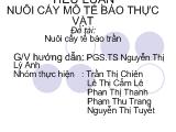 Luận văn Nuôi cấy mô, tế bào thực vật, nuôi cấy tế bào trần