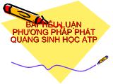 Tiểu luận Phương pháp phát quang sinh học Atp