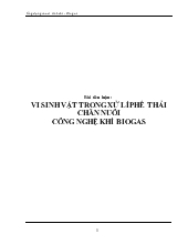 Tiểu luận Vi sinh vật trong xử lí phế thải chăn nuôi công nghệ khí biogas
