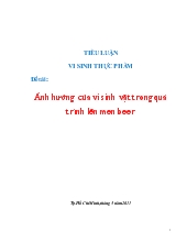 Đề án Ảnh hưởng của vi sinh vật trong quá trình lên men beer