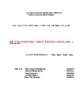 Đề tài Enzyme thực phẩm (amylase)