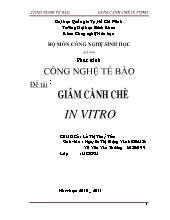 Đề tài Giâm cành chè in vitro