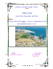 Đề tài Năng lượng sinh học – sản xuất diezen từ phụ phẩm động, thực vật