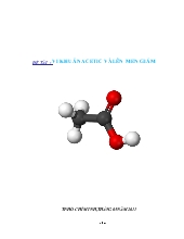 Đề tài Vi khuẩn acetic và lên men giấm