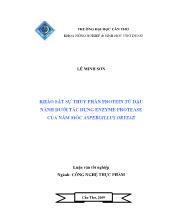 Khảo sát sự thủy phân protein từ đậu nành dưới tác dụng enzyme protease của nấm mốc aspergillus oryzae