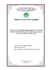 Khảo sát tình hình nhiễm khuẩn và tính đề kháng kháng sinh của vi khuẩn pseudomonas aeruginosa trong nước uống
