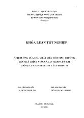 Khóa luận Ảnh hưởng của các chất điều hõa sinh trưởng đến quá trình nuôi cấy in vitro của hai giống lan dendrobium và cymbidium