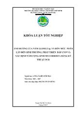 Khóa luận Ảnh hưởng của nấm glomus sp. và bốn mức phân lân đến sinh trưởng, phát triển bắp c919 và xác định nấm cộng sinh mycorrhiza bằng kỹ thuật pcr