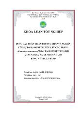 Khóa luận Bước đầu hoàn thiện phương pháp và nghiên cứu sự đa dạng di truyền cây cóc trắng (lumnitzera racemosa willd) tại khu dự trữ sinh quyển rừng ngập mặn cần giờ bằng kỹ thuật rapd