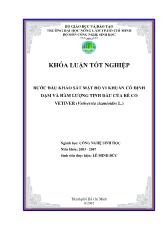Khóa luận Bước đầu khảo sát mật độ vi khuẩn cố định đạm và hàm lượng tinh dầu của rễ cỏ vetiver (vetiverria zizanioides l.)