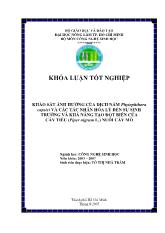 Khóa luận khảo sát ảnh hưởng của dịch nấm phytophthora capsici và các tác nhân hóa lý đến sự sinh trƣởng và khả năng tạo đột biến của cây tiêu (piper nigrum l.) nuôi cấy mô