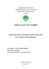 Khóa luận Khảo sát hoạt tính hệ enzyme amylase từ 3 chủng trichoderma