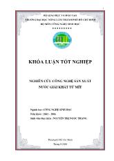 Khóa luận nghiên cứu công nghệ sản xuất nước giải khát từ mít