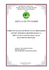 Khóa luận nghiên cứu đa dạng di truyền và xác định marker liên kết tính kháng bệnh héo đỏ đầu lá trên cây dứa cayenne (ananas comosus) bằng phương pháp rapd