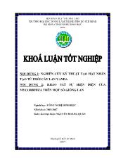 Khóa luận nghiên cứu kỹ thuật tạo hạt nhân tạo từ phôi cây lan vanda