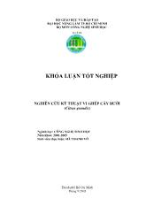 Khóa luận Nghiên cứu kỹ thuật vi ghép cây bưởi