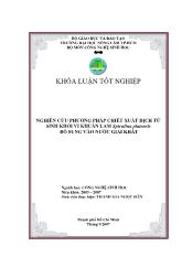 Khóa luận nghiên cứu phương pháp chiết xuất dịch từ sinh khối vi khuẩn lam spirulina platensis bổ sung vào nước giải khát