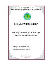 Khóa luận Phát hiện loài fusarium spp. gây bệnh thối xương rồng (cactaceae) bằng phương pháp polymerase chain reaction (pcr)