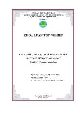 Khóa luận Tách chiết, tinh sạch và tính chất của protease từ nội tạng và đầu tôm sú (penaeus monodon)