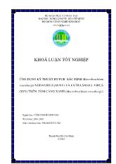 Khóa luận Ứng dụng kyõ thuaät rt-Pcr xaùc ñònh macrobrachium rosenbergii nodavirus (mrnv) vaø extra small virus (xsv) trên tôm càng xanh (macrobrachium rosenbergii)