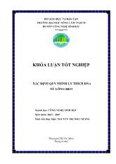 Khóa luận Xác định quy trình ly trích dna từ lông heo