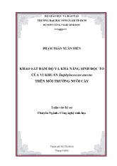Luận văn Khảo sát đậm độ và khả năng sinh độc tố của vi khuẩn staphylococcus aureus trên môi trường nuôi cấy