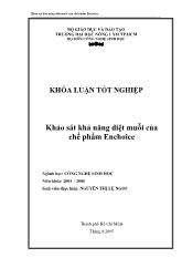 Luận văn Khảo sát khả năng diệt muỗi của chế phẩm Enchoice