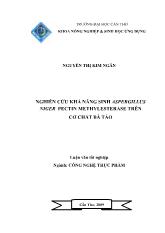 Luận văn Nghiên cứu khả năng sinh Aspergillus niger pectinmethylesterase trên cơ chất bã táo