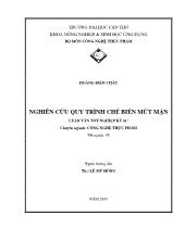 Luận văn Nghiên cứu quy trình chế biến mứt mận