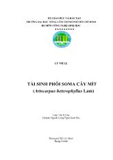 Luận văn Tái sinh phôi soma cây mít