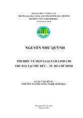Luận văn Tìm hiểu về một loại nấm linh chi thu hái tại Thủ Đức – TP Hồ Chí Minh
